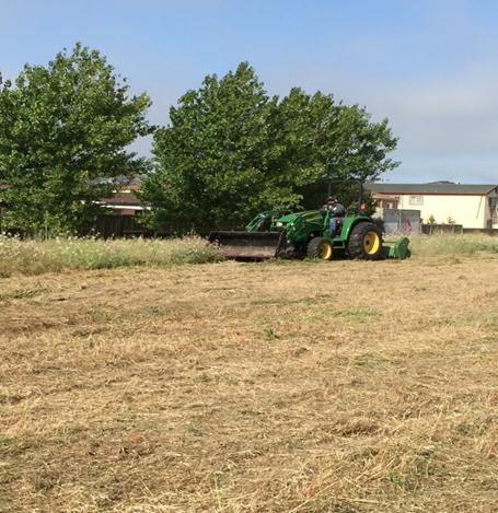 Greenway Mowing